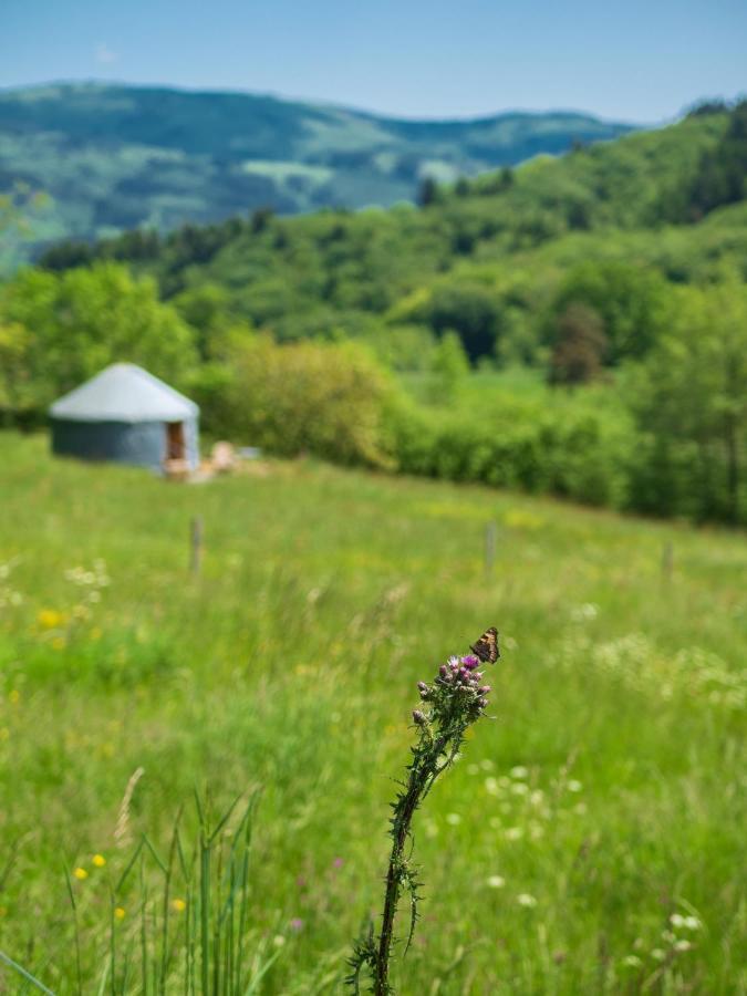 Glamping Yourtissimo